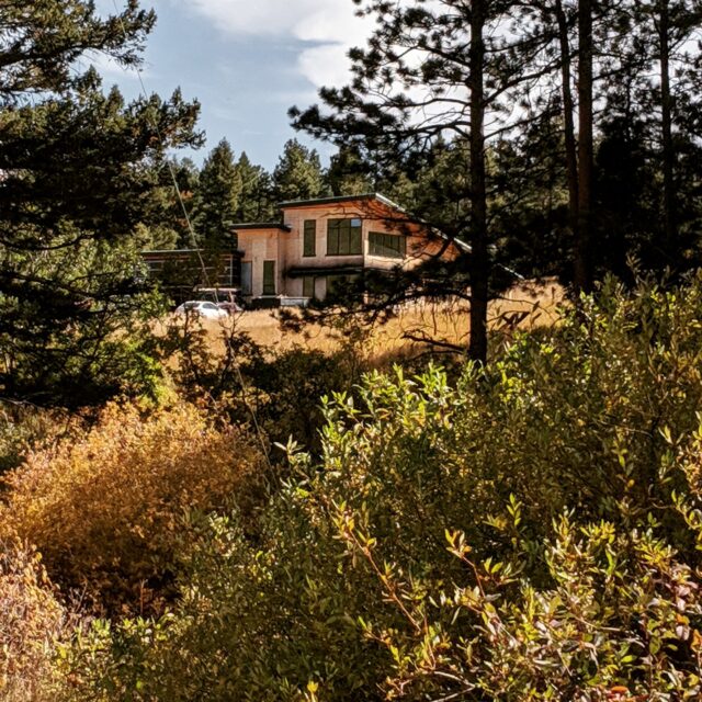 A view through the trees.

#conifer #evergreen #architect #customhome